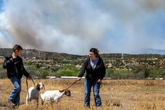 Biden declares New Mexico wildfire an emergency