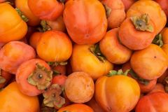 COVID-19 Gives New Life to Ancient Practice of Gleaning