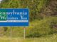 Pivotal Pennsylvania Primary: Why It Could Hold the Key to US Senate