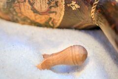 We are to be the salt of the earth