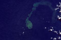 ApocalypseWatch2022: A 'Sharkcano' Eruption Caught On Camera in Pacific Ocean - RELEVANT