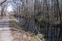 'Living in Swamp Better Than Being Enslaved': How Runaway Slaves Found Freedom in the Great Dismal Swamp