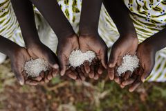 The progress in alleviating world hunger is in danger of being lost