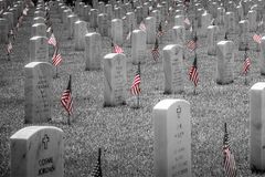 Memorial Day in a maddening world