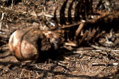 Cartels Cash In as Migrants Try to Outrun the Law in Texas 'Corridor of Death'
