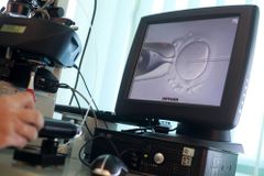 Supreme Court abortion case sparks debate over how ruling may impact IVF, fertility industry