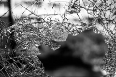 Pro-Life Women's Clinics and Churches Get Hit Again in Spate of Vandalism and Attacks