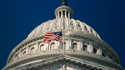 'Red Flag' Gun Laws Gain Support After String of Mass Shootings