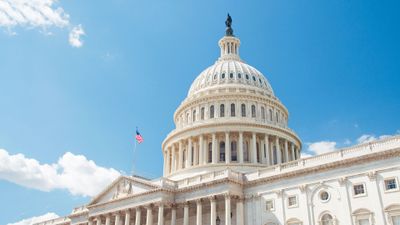 Senate Bargainers Announce Outline of Gun Violence Agreement