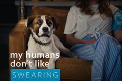 VidAngel uses foul-mouthed ‘dirty dog’ in new ad campaign promoting entertainment  filtering features