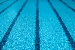 International Swimming Federation Sets New Guidelines For Transgender Athletes Competing in Women's Events