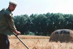 Russia strikes Ukrainian grain terminals