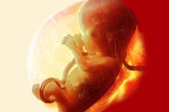 'We'll See You at the Supreme Court!' How Ohio's Heartbeat Bill Threatens Roe