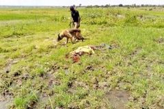 Christian Convert from Islam Killed in Eastern Uganda - Morningstar News