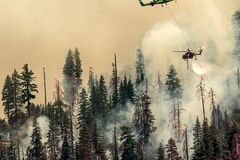 Yosemite wildfire threatens sequoias