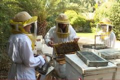 Israel: The Land of Milk and (Bee) Honey