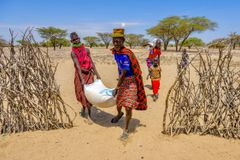 The Ukraine War is Causing a Hunger Crisis in Africa - RELEVANT