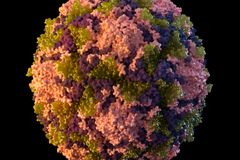 First US polio case in nearly a decade reported