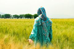 An opportunity for Christians to make history in Iran