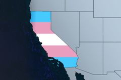 Puberty Blockers, Hormones and Surgery Without Parental Consent? State Debates Trans Sanctuary Bill