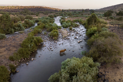 Mideast’s Jordan River: Rich in Holiness, Poor in Water