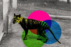 Scientists are Resurrecting Extinct Animals Now - RELEVANT