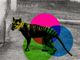 Scientists are Resurrecting Extinct Animals Now - RELEVANT