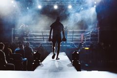 World Boxing Council Commits to 'Fair Competition', Bans Transgender Athletes From Competing