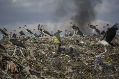 Evangelical Group Releases Climate Change Report, Urges a Biblical Mandate for Action