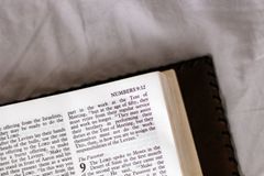 How and why to read Numbers in 2022