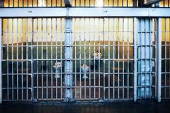 Christian Teacher Thrown in Jail After Refusing to Use Trans Student's 'Preferred Pronouns'