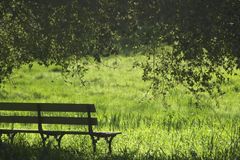 Never say these 2 words