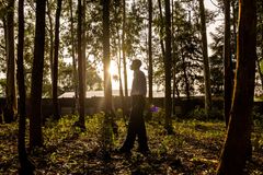 Managing God's creation in a better way