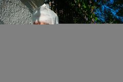 Russia attacks Ukraine, killing at least 11 civilians