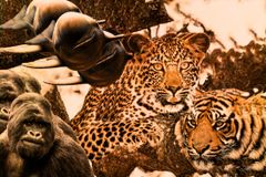 Humanity Has Wiped Out Almost 70 Percent of Animals in 50 Years - RELEVANT