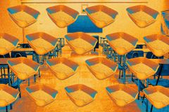 No, Schools Are Not Putting Litter Boxes in Bathrooms for Students Who Identify as Cats - RELEVANT