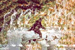 Pennsylvania Park Officials Say There is No Bigfoot. Uh-Huh. Sure. - RELEVANT