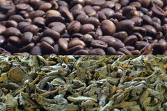 Coffee vs Tea: Which is Healthier? The Answer May Surprise You