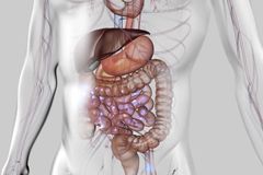 'The Most Important Way to Prevent Disease, Including Cancer': Get Your Daily Dose of Good Bacteria