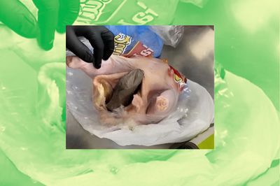 Fowl Play: TSA Catches Florida Man Smuggling a Gun Inside Raw Chicken - RELEVANT