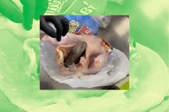 Fowl Play: TSA Catches Florida Man Smuggling a Gun Inside Raw Chicken - RELEVANT