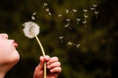 FIRST-PERSON: Simplify | Baptist Press