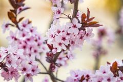 From death and decay, to renewal and hope