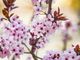 From death and decay, to renewal and hope