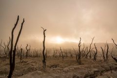 Climate change, hunger and the Church's role