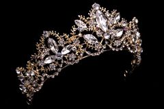 Biological Male Wins Local Miss America Pageant