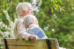 Dr. Don Colbert Reveals Health Tips for Preventing Alzheimer's