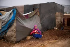 Unsettling Advent 2022, Day 11