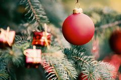 Human Rights Commissioner Resigns After Mocking God, Cursing Christians over Christmas Tree Debacle