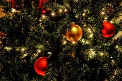 Massachusetts library to display Christmas trees after backlash, claims 'there is no ban on Christmas'